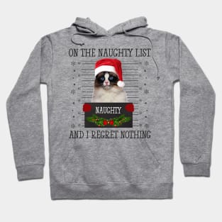 On The Naughty List, And I Regret Nothing Hoodie